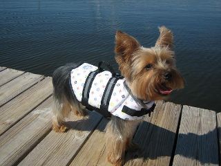dog-life-vest.jpg